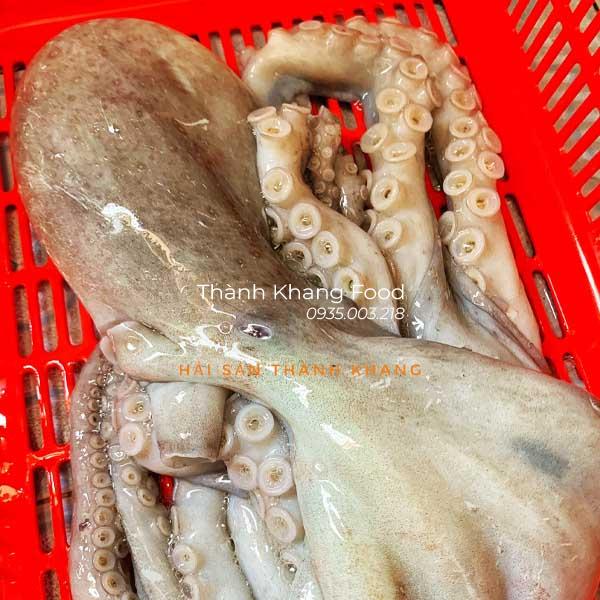 bạch tuộc loại lớn bao nhiêu tiền 1kg