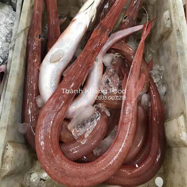 đặc điểm cá chìa vôi đỏ