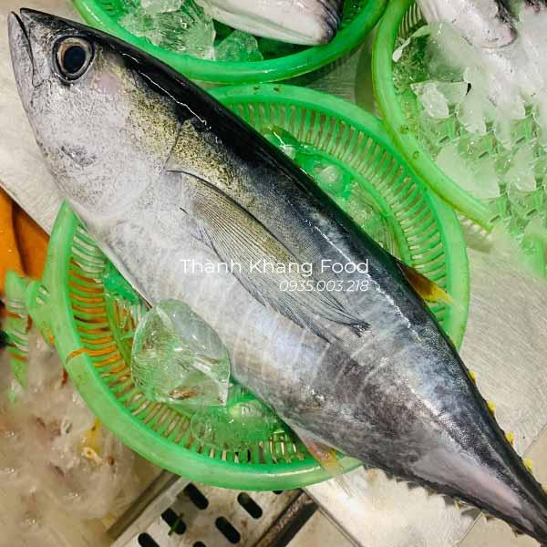 bán sỉ lẻ cá ngừ bò tại Đà Nẵng và giao hàng toàn quốc