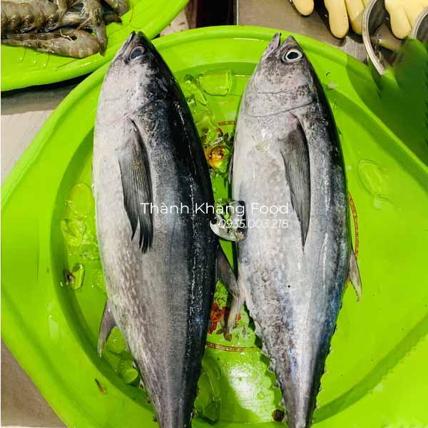 cá ngừ bò tươi ngon giá rẻ bán tại Đà nẵng và đóng hàng ship tỉnh