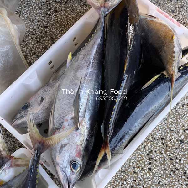 cá ngừ bò tươi ngon ở Đà Nẵng