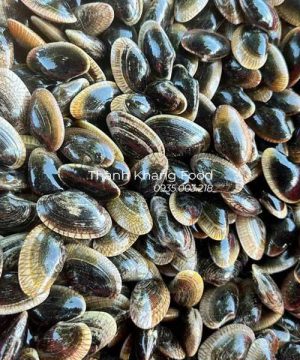 chip chip đen đà nẵng