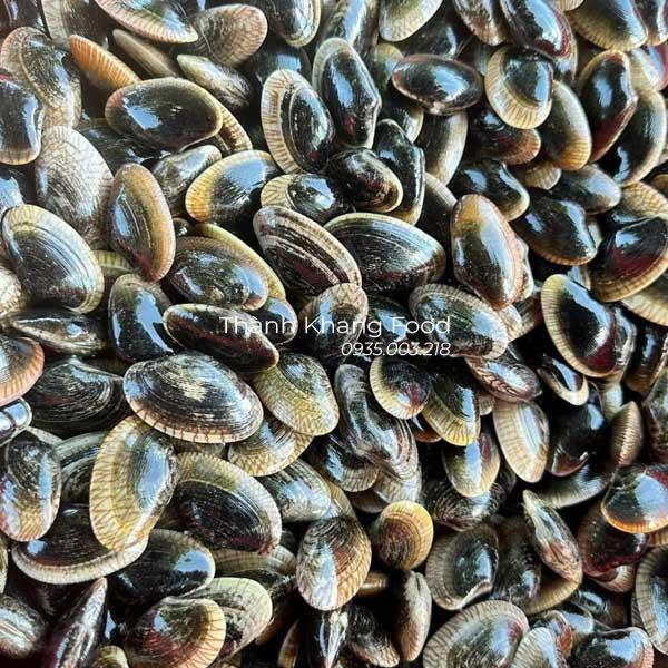 chip chip đen đà nẵng