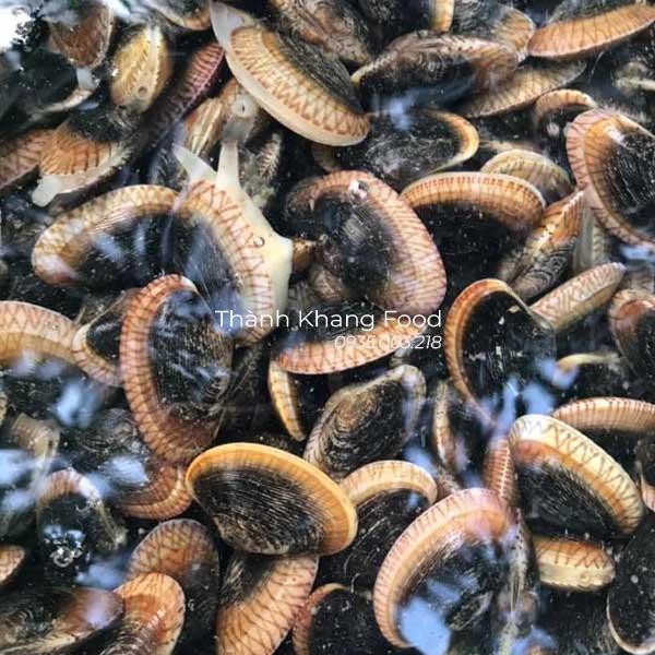 bán chip chip đen đà nẵng