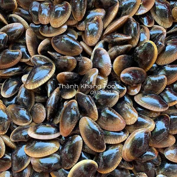 Chip Chíp ( Chem chép ) Đà Nẵng - Hình ảnh 7