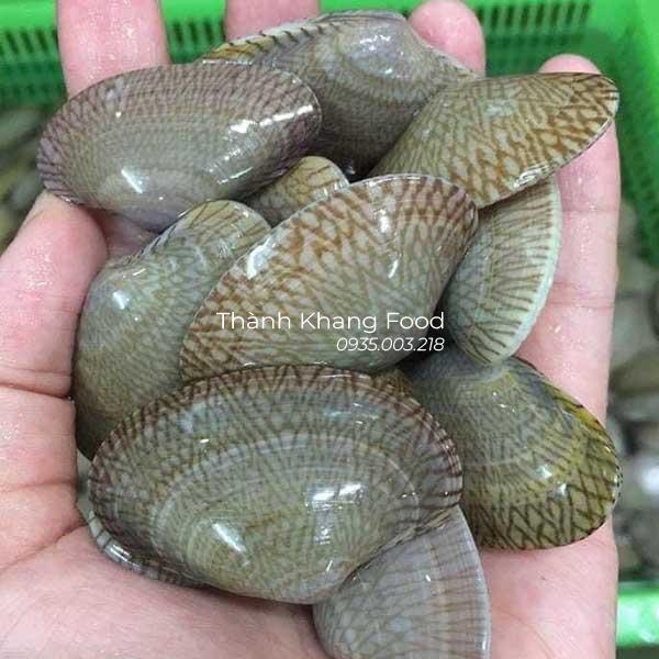 chíp lụa giá rẻ nhất tại đà nẵng