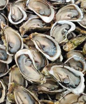 Bán hàu sữa giá rẻ. bao đầy ruột hàu, giá rẻ nhất, có giao hàng toàn quốc
