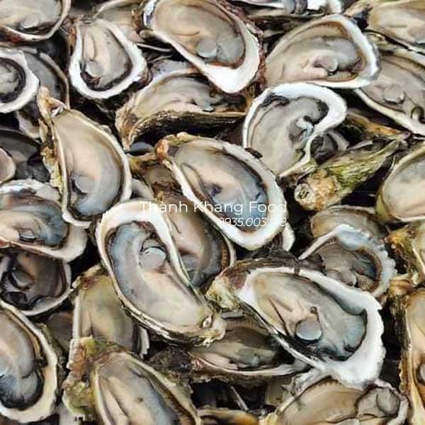Bán hàu sữa giá rẻ. bao đầy ruột hàu, giá rẻ nhất, có giao hàng toàn quốc