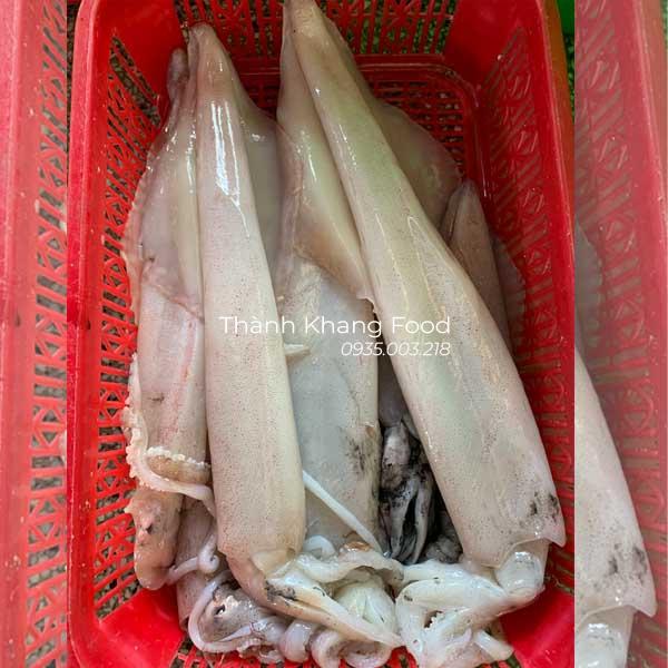 mực ống tươi loại to 1-2 con/kg, dòng mực ống tươi đà nẵng có chất thịt ngon