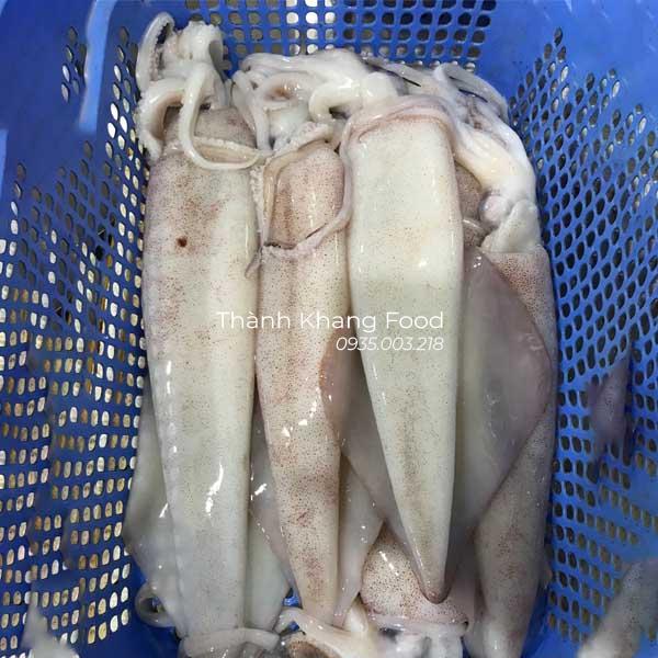 sỉ lẻ mực ống tươi loại lớn 1-2 con/kg tại Đà Nẵng