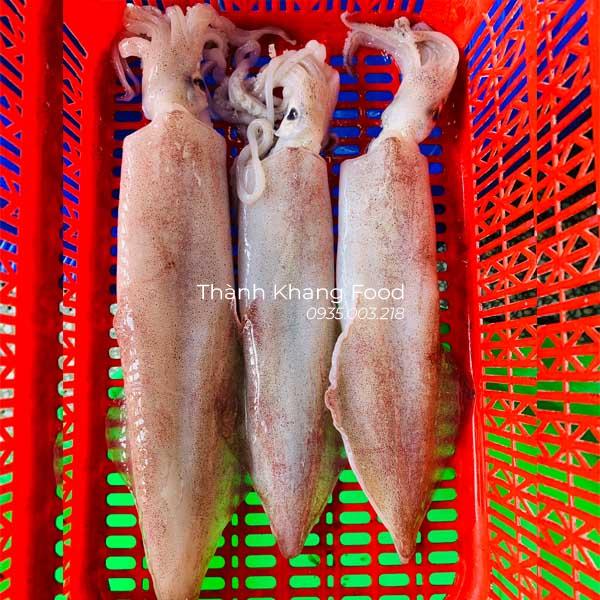 giá mực ống tươi loại lớn 1-2 con/kg bao nhiêu tiền 1kg