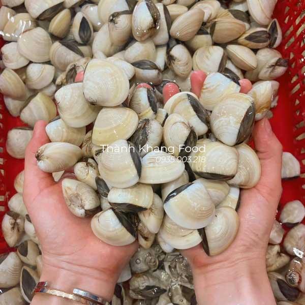 bán nghêu trắng, ngao trắng tại Đà Nẵng và giao hàng toàn quốc