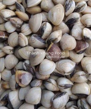 nghêu trắng, ngao trắng giá bao nhiêu