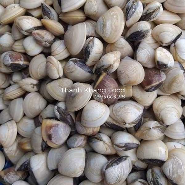nghêu trắng, ngao trắng giá bao nhiêu