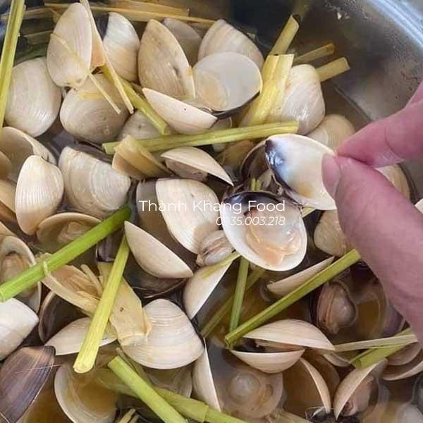 Nghêu Trắng, Ngao Trắng - Hình ảnh 4
