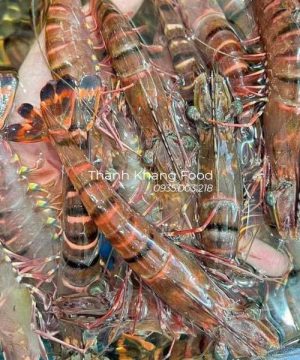 Tôm sú sống giá rẻ tại đà nẵng và có giao hàng toàn quốc