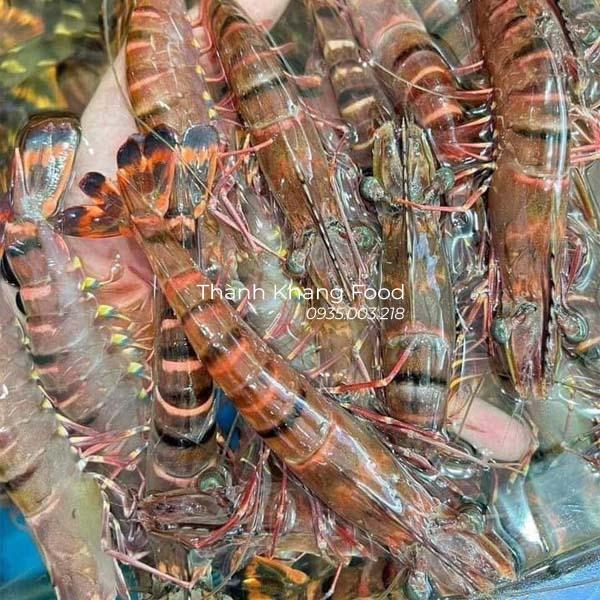 Tôm sú sống giá rẻ tại đà nẵng và có giao hàng toàn quốc