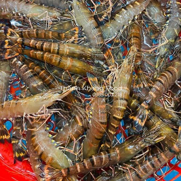 Giá tôm sú sống Oxi bao nhiêu tiền 1kg hôm nay