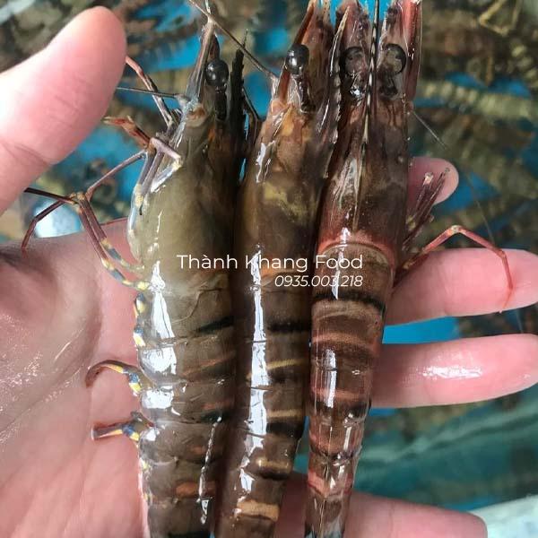 tôm sú sống đà nẵng