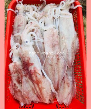 mực ống tươi loại lớn 3-4 con/kg, mực ống đà nẵng