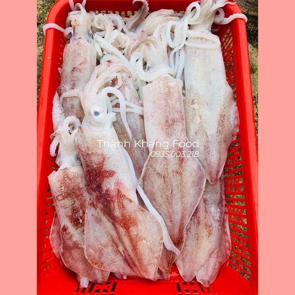 mực ống tươi loại lớn 3-4 con/kg, mực ống đà nẵng