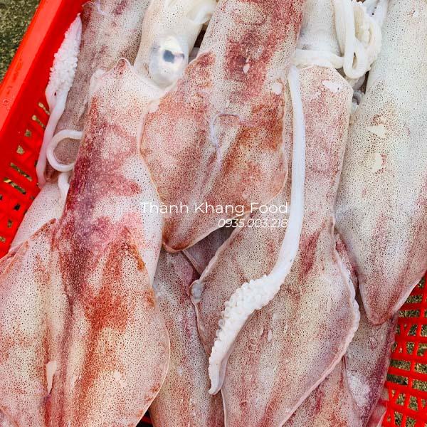 Bán sỉ lẻ mực ống tươi 3-4 con/kg tại Đà Nẵng và giao hàng đi toàn quốc