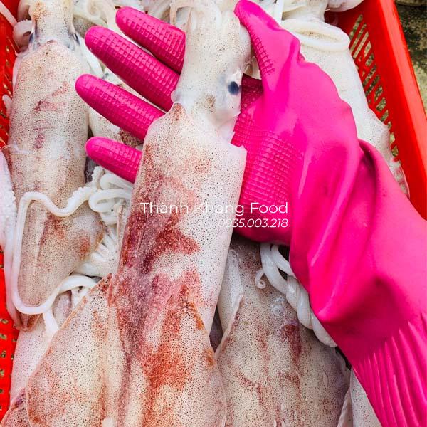 cung cấp mực ống tươi lớn từ 3-4 con/kg