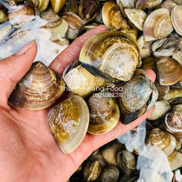bán nghêu đen (ngao đen) tại Đà Nẵng và giao hàng đi toàn quốc
