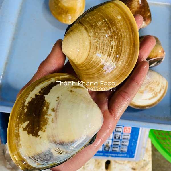 sỉ lẻ nghêu đen (ngao đen) cho nhà hàng, quán nhậu, khách sạn| 0935003218
