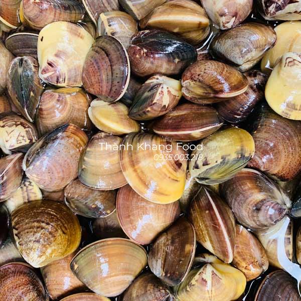 nghêu đen (ngao đen) giá bao nhiêu tiền 1kg