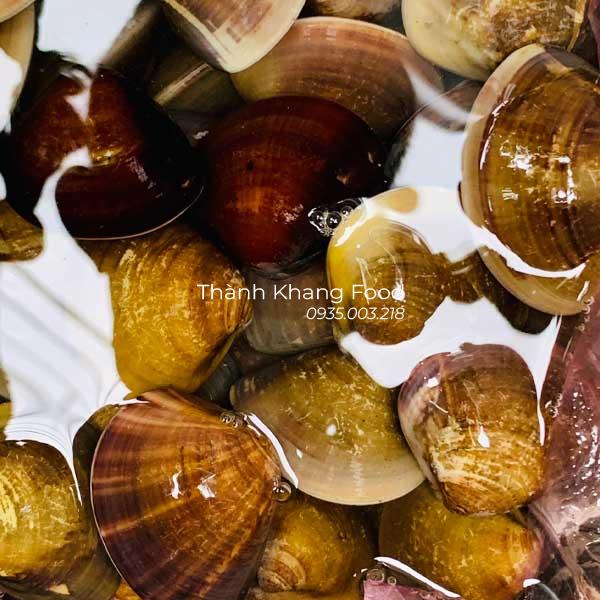 Giá trị dinh dưỡng nghêu đen