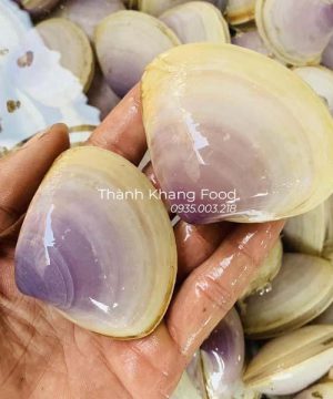 nghêu tím, ngao tim tươi sống, bán tại đà nẵng và toàn quốc