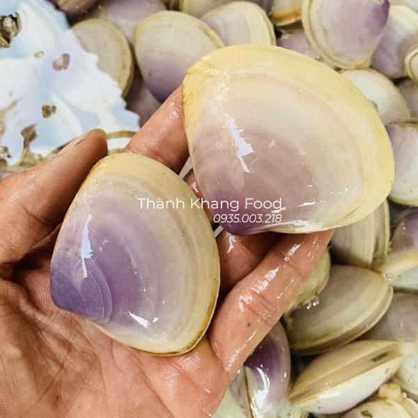 nghêu tím, ngao tim tươi sống, bán tại đà nẵng và toàn quốc