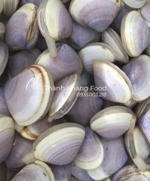 Bán nghêu tím tại Đà Nẵng và giao hàng toàn quốc
