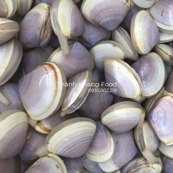 Bán nghêu tím tại Đà Nẵng và giao hàng toàn quốc