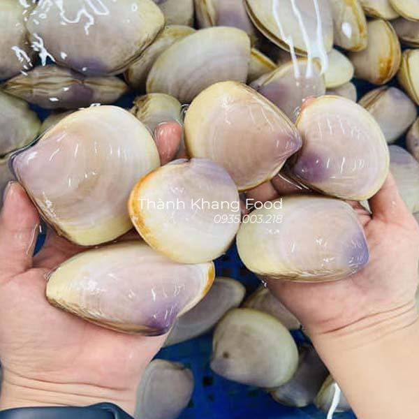 nghêu tím, ngao tím giá bao nhiêu tiền 1kg