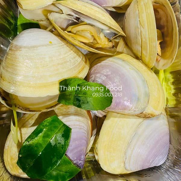 đặc điểm nghêu tím