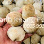 bán Sò Bung ( sò chén) tươi sống tại Đà Nẵng và giao hàng đi toàn quốc