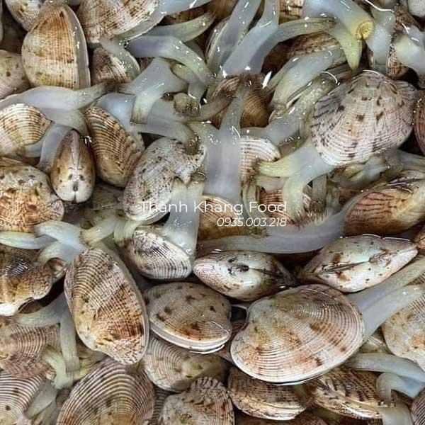 Sò mía trắng giá bao nhiêu tiền kg, nghêu 2 cồi giá bao nhiêu