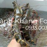 Tôm sú tươi loại 10 con kg, tôm sú lớn nhất