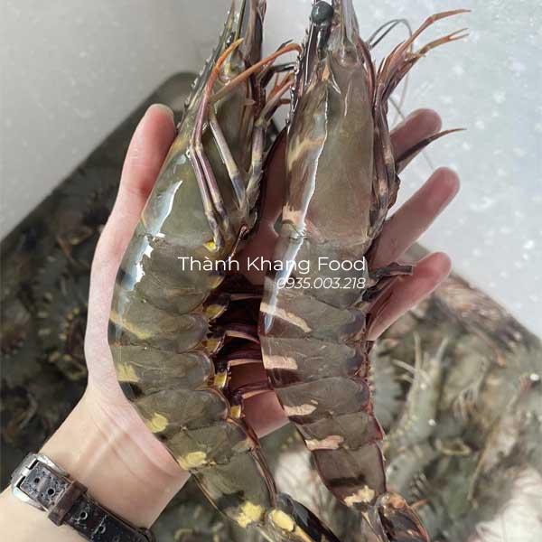 Tôm sú tươi 10 con/kg