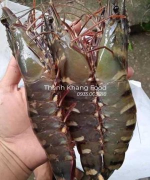 Tôm sú tươi loại 15 con/kg, tôm sú to, tươi ngon giao hàng đà nẵng và toàn quốc