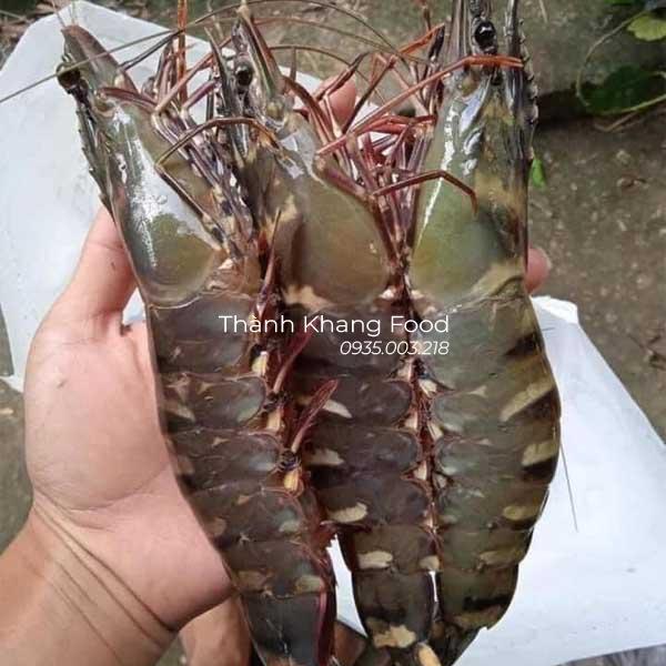 Tôm sú tươi loại 15 con/kg, tôm sú to, tươi ngon giao hàng đà nẵng và toàn quốc