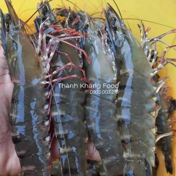 bán Tôm sú tươi loại 15 con/kg tại Đà Nẵng và GH toàn quốc