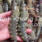 Tôm sú tươi loại 30 con/kg giá rẻ, tôm tươi, đẹp tại Đà Nẵng và có giao hàng toàn quốc