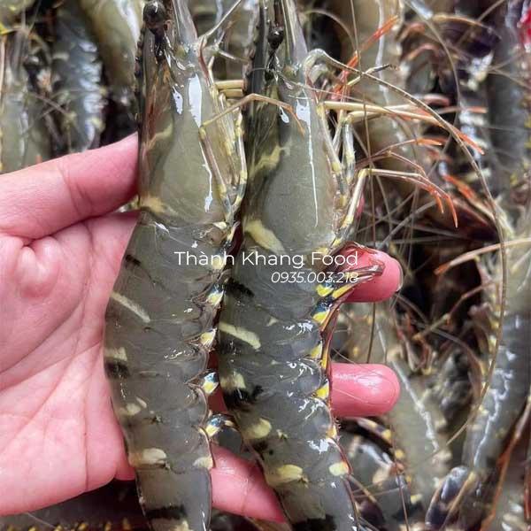 Tôm sú tươi loại 30 con/kg giá rẻ, tôm tươi, đẹp tại Đà Nẵng và có giao hàng toàn quốc