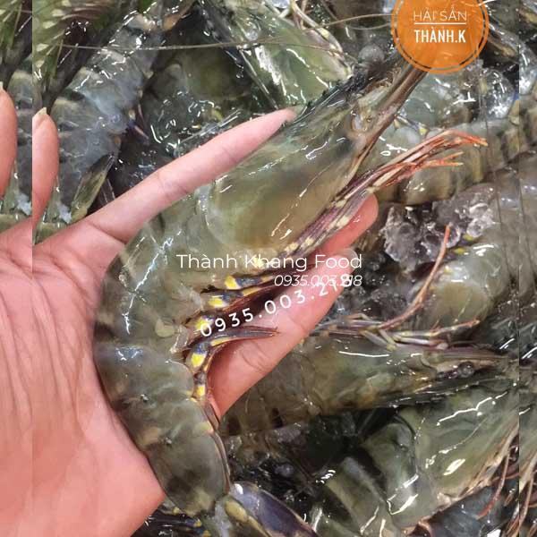 Tôm sú tươi 30 con/kg giá bao nhiêu tiền 1kg