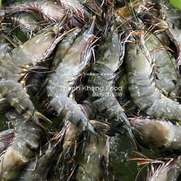 sỉ lẻ tôm sú tươi 30 con kg