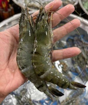 Tôm sú tươi 35-40 con giá bao nhiêu tiền 1kg