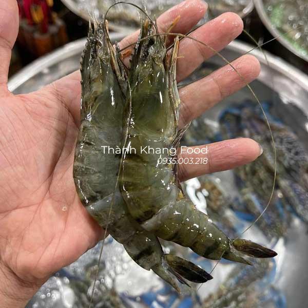 Tôm sú tươi 35-40 con giá bao nhiêu tiền 1kg